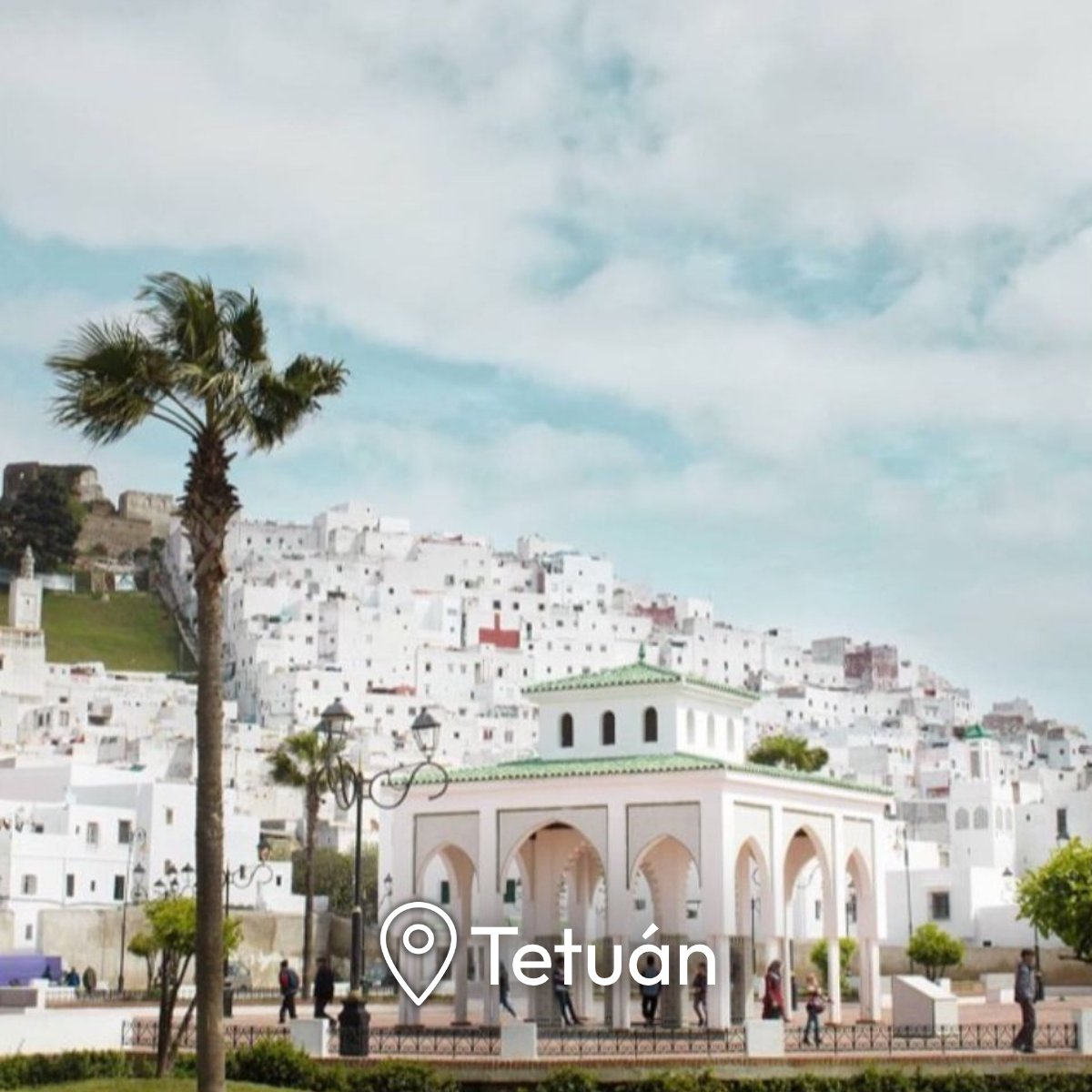 Mega Travel 🇲🇽 tweet media