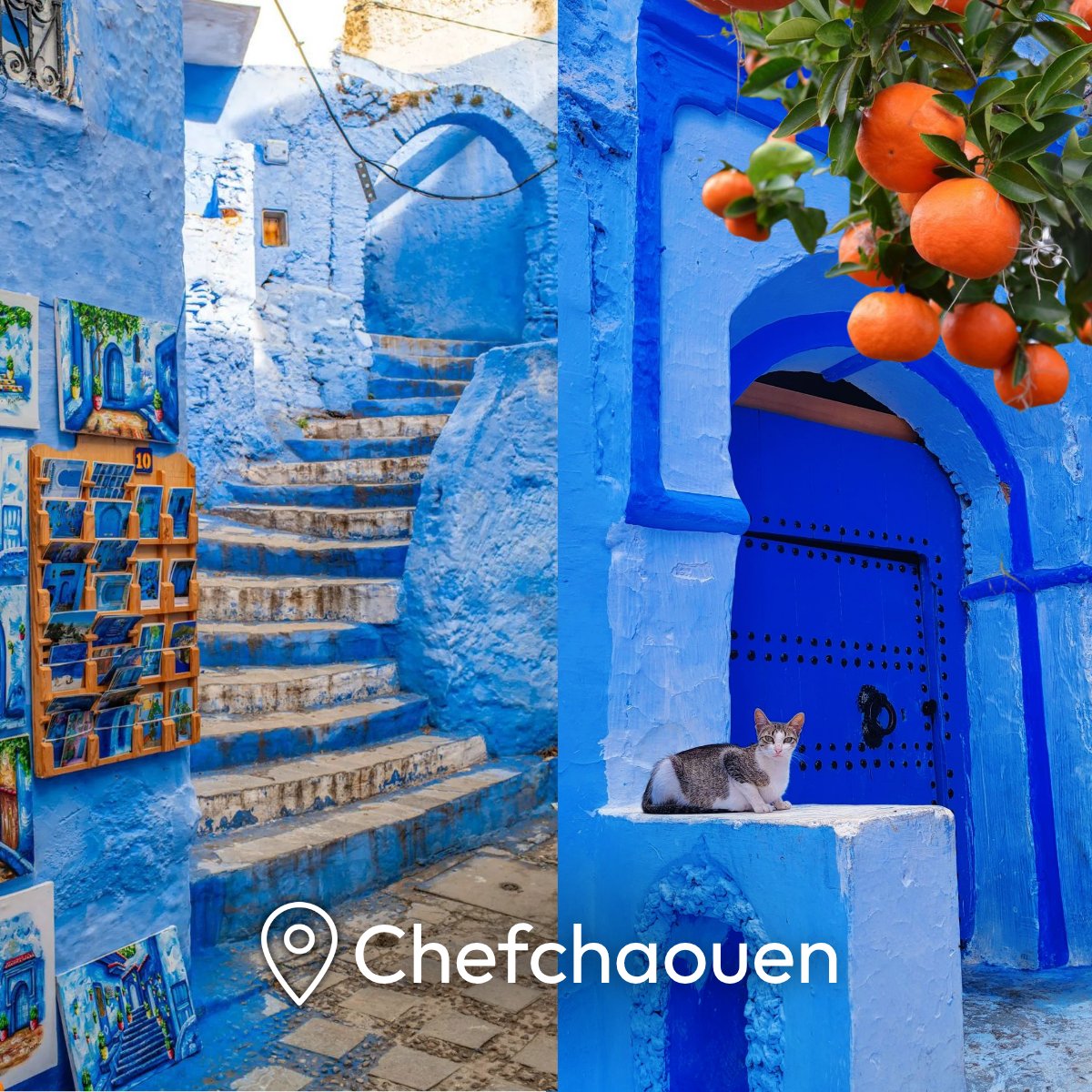 Mega Travel 🇲🇽 tweet media