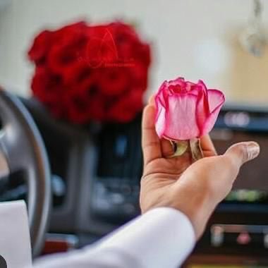 المطيري 🎖️ tweet media