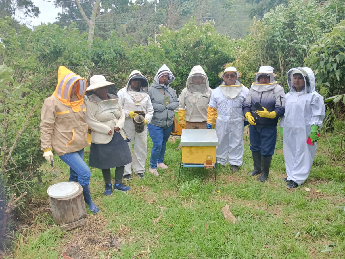AgrocalidadZ7's tweet photo. #Loja📍 | Capacitamos sobre sanidad apícola y la importancia de obtener el Certificado Zoosanitario de Producción y Movilidad - Funcionamiento (CZPM-F), con el objetivo de sensibilizar a los apicultores de la parroquia Chuquiribamba 🐝🌻. #AgrocalidadCapacita https://t.co/mSZmOetGMW