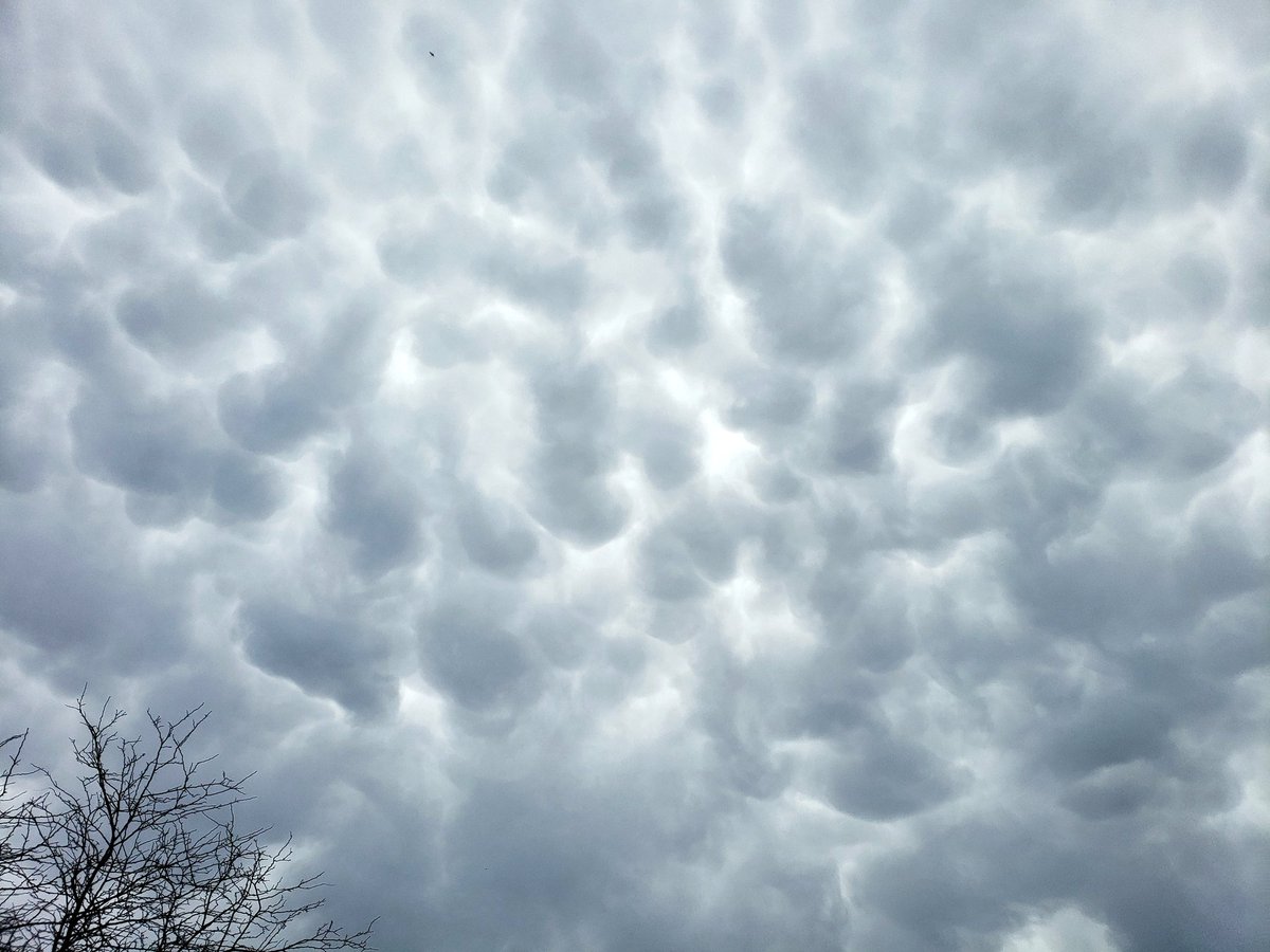 Tempest Hunter 🌪🇨🇦🇬🇷 tweet media