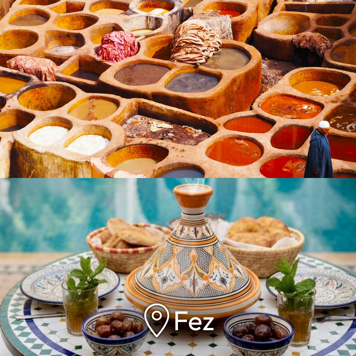 Mega Travel 🇲🇽 tweet media