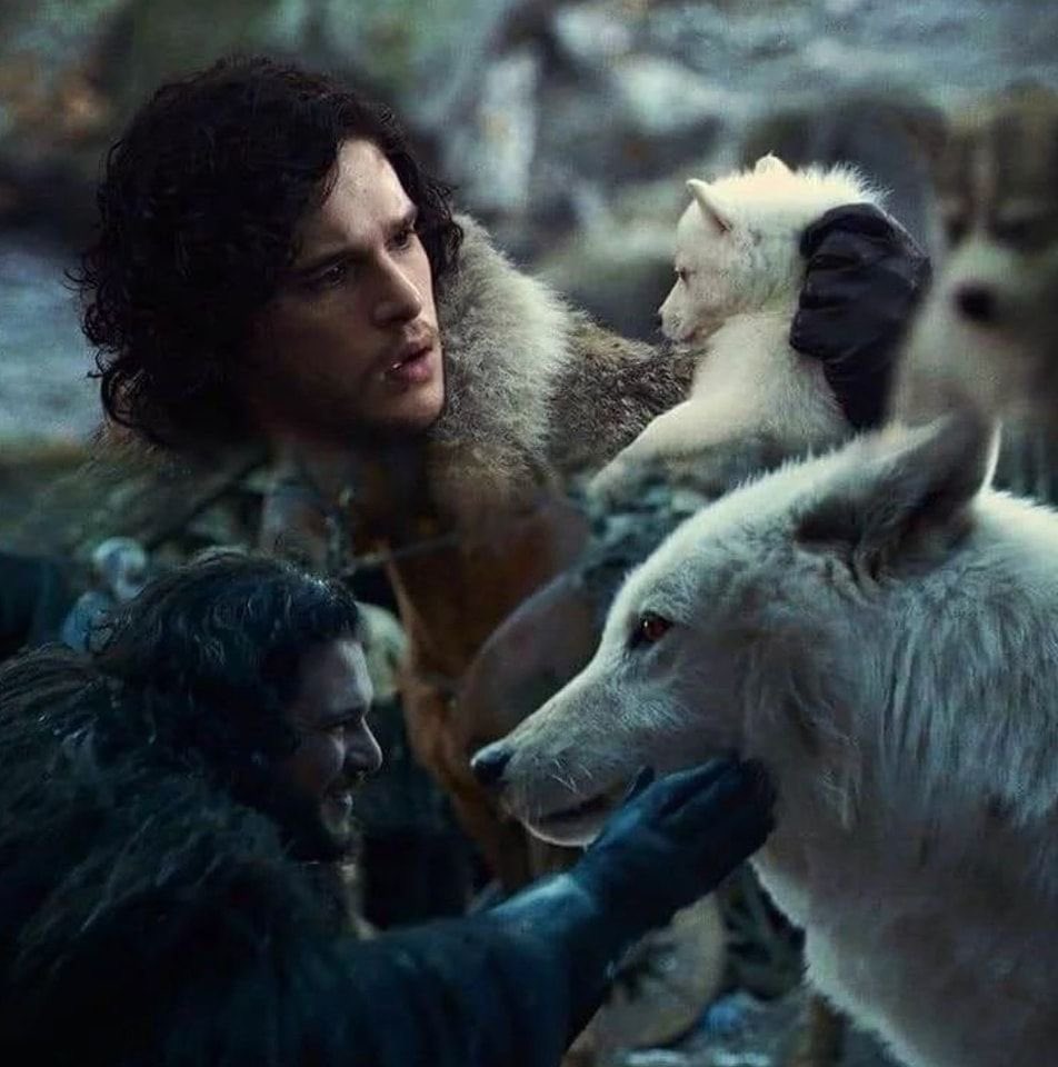 Eren Yeager 🧣 tweet media