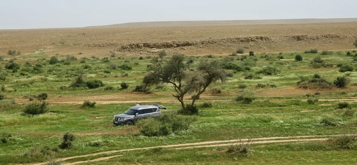 خالد آل سعود‎ tweet media