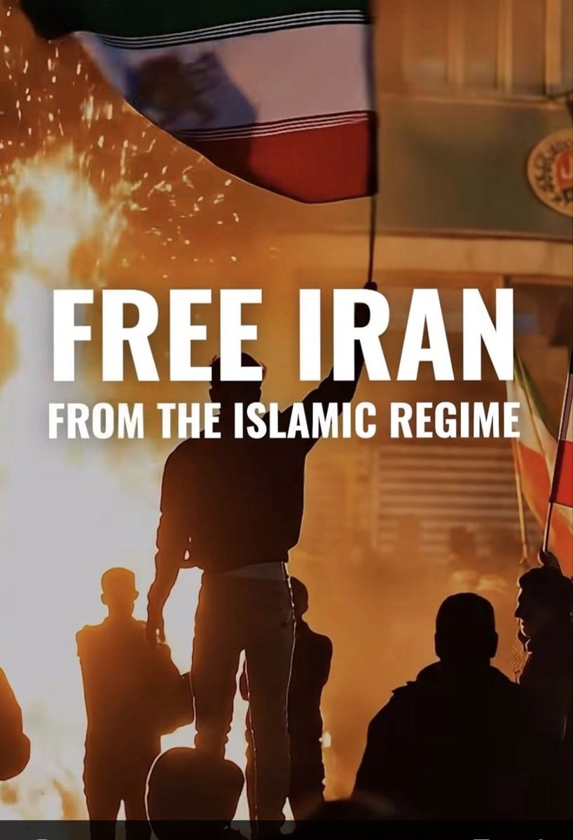 Shila Ghassemi tweet media