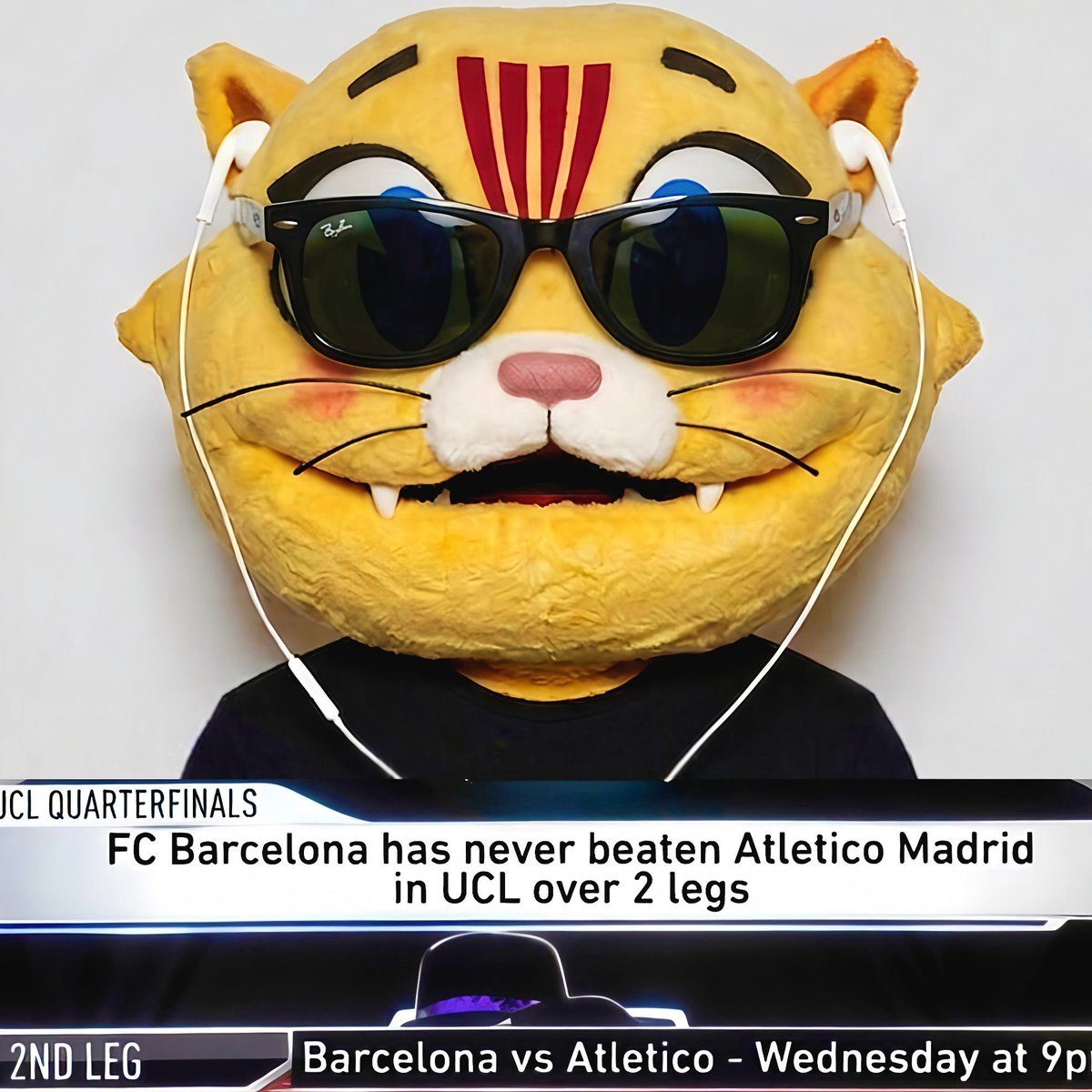 J.C Rodrigues Fonseca tweet media