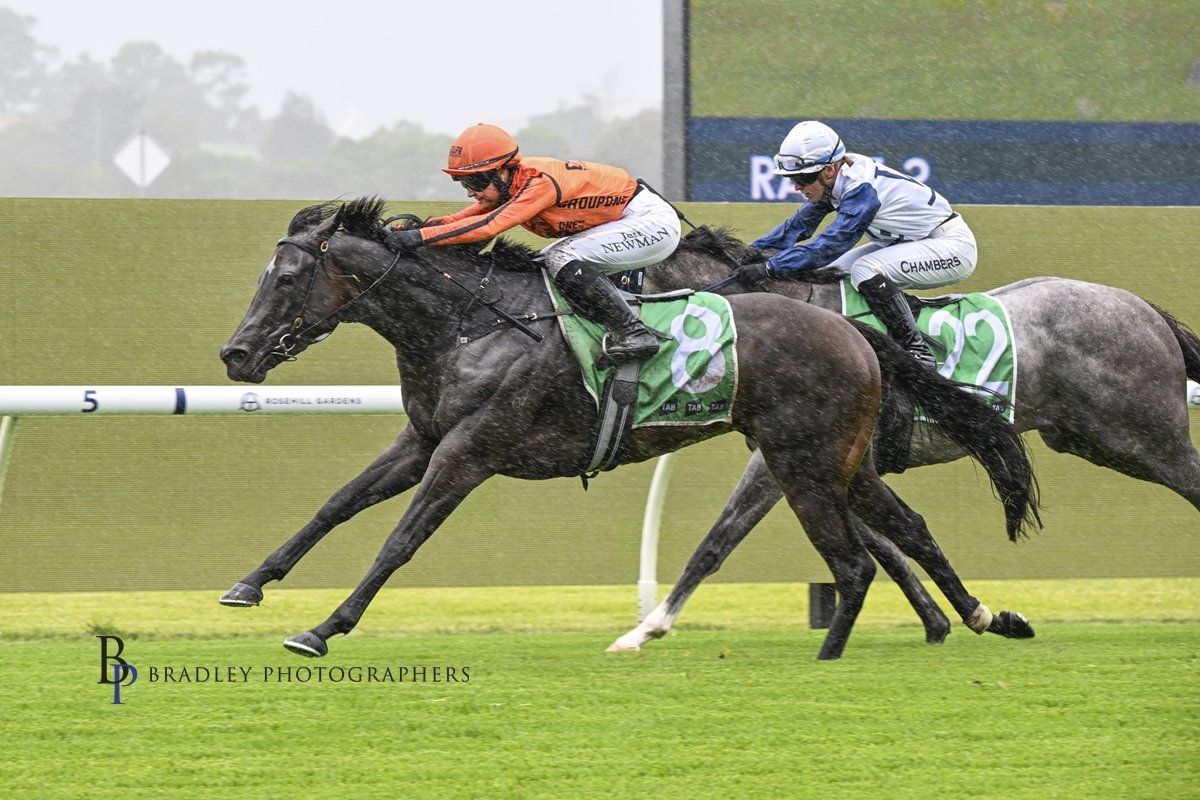 johntappracing's tweet photo. Many keen observers have been singing the praises of apprentice Jett Newman whose recent Doomben win on Tomba brought up her 100th win in just 13mths of race riding. Jett's on the podcast.
https://t.co/P6ixW2JKSP 
@SkyRacingAU @racing_nsw @pantherspenrithleaguesclub @darby_racing https://t.co/xgCccGQ40u