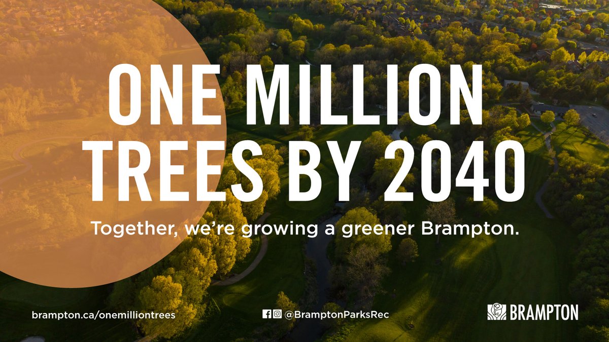 City of Brampton tweet media