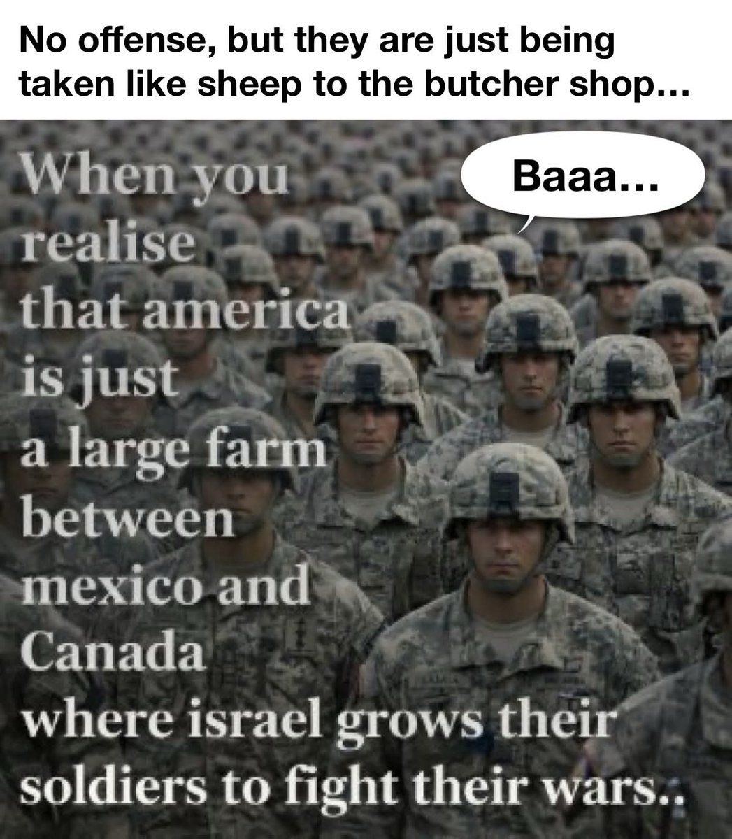 David Field tweet media