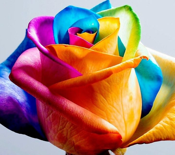 MichelefromdaBronx tweet media