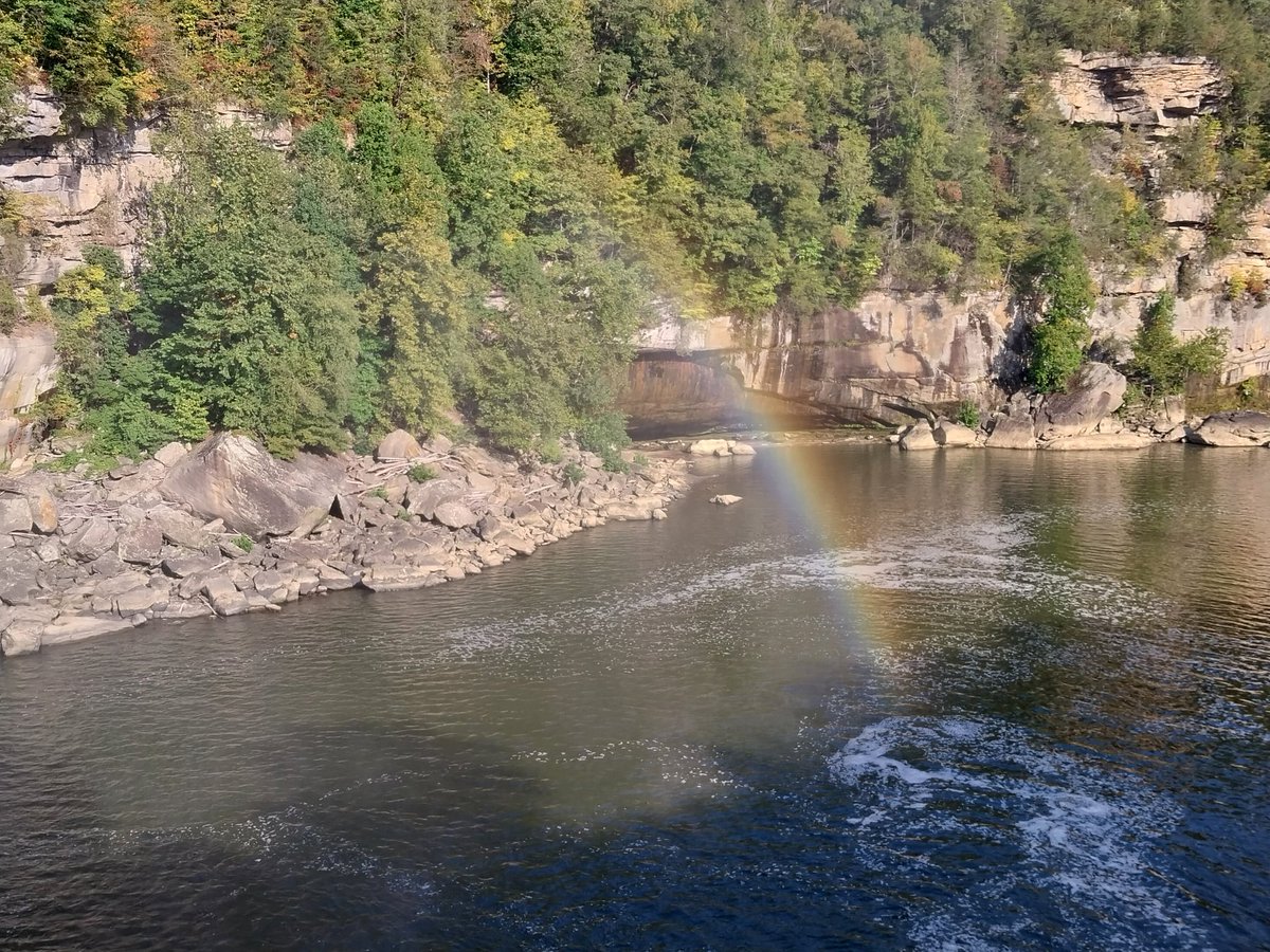 Neutral Party tweet media