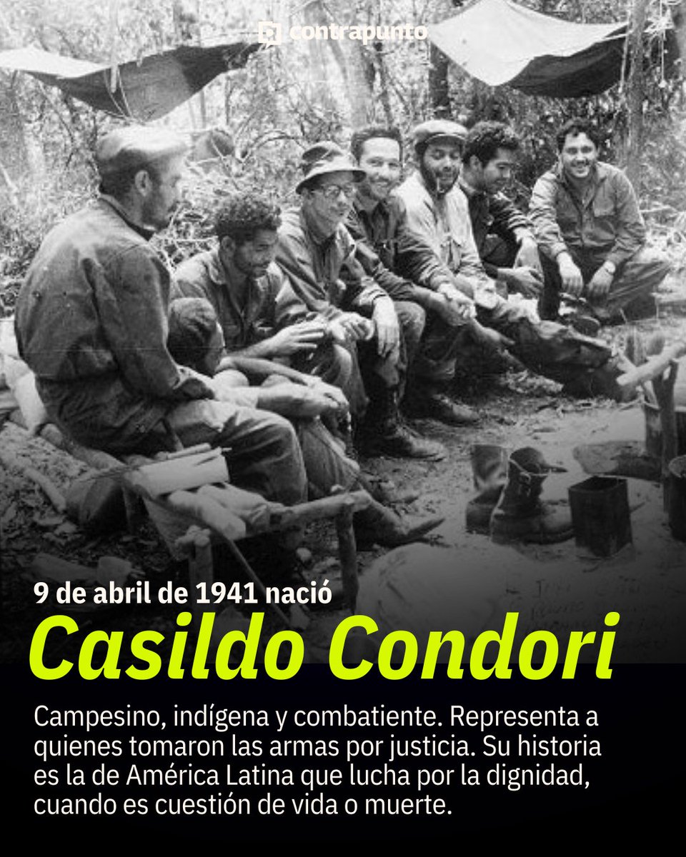 contrapunto.mx tweet media