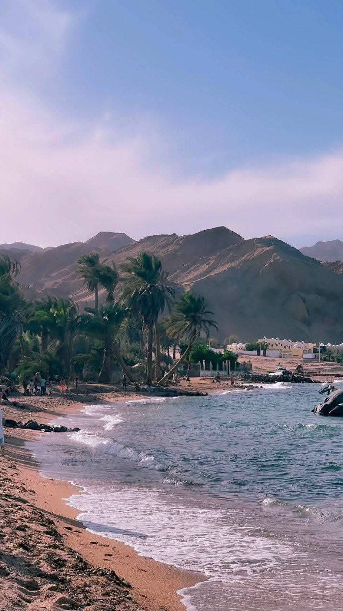 𓂀 Nefertiti : Nile Tales 𓅓 tweet media