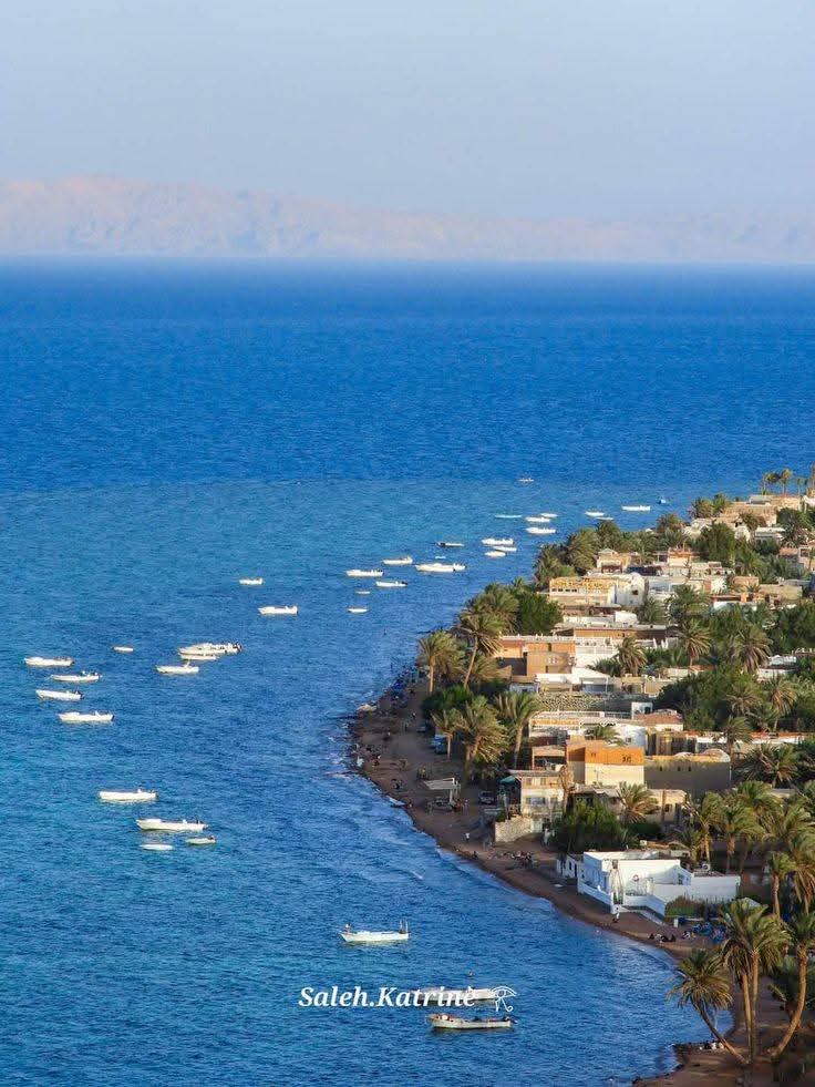 𓂀 Nefertiti : Nile Tales 𓅓 tweet media