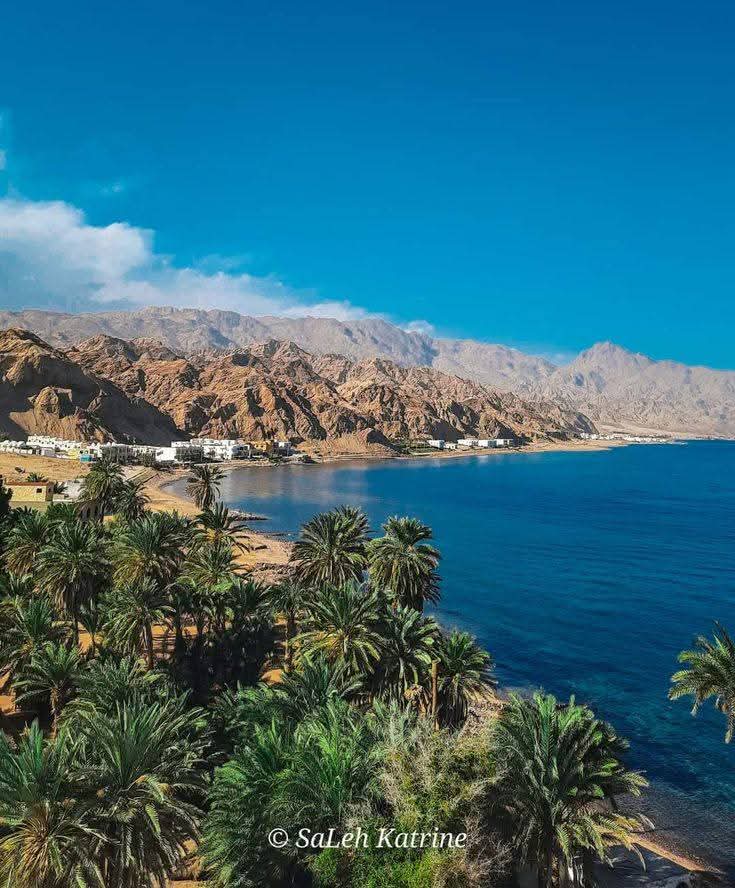 𓂀 Nefertiti : Nile Tales 𓅓 tweet media