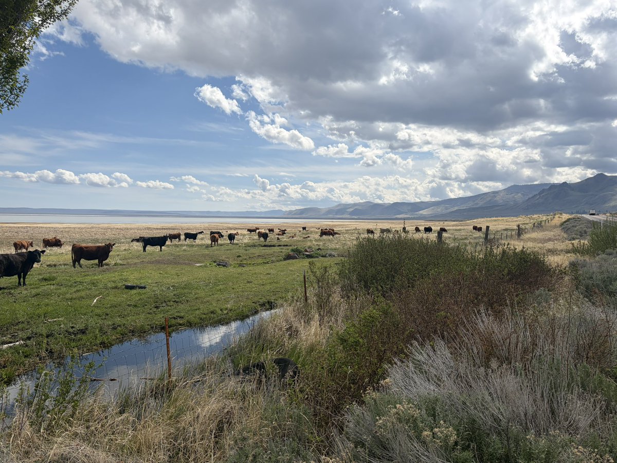 Oregon Citizen tweet media