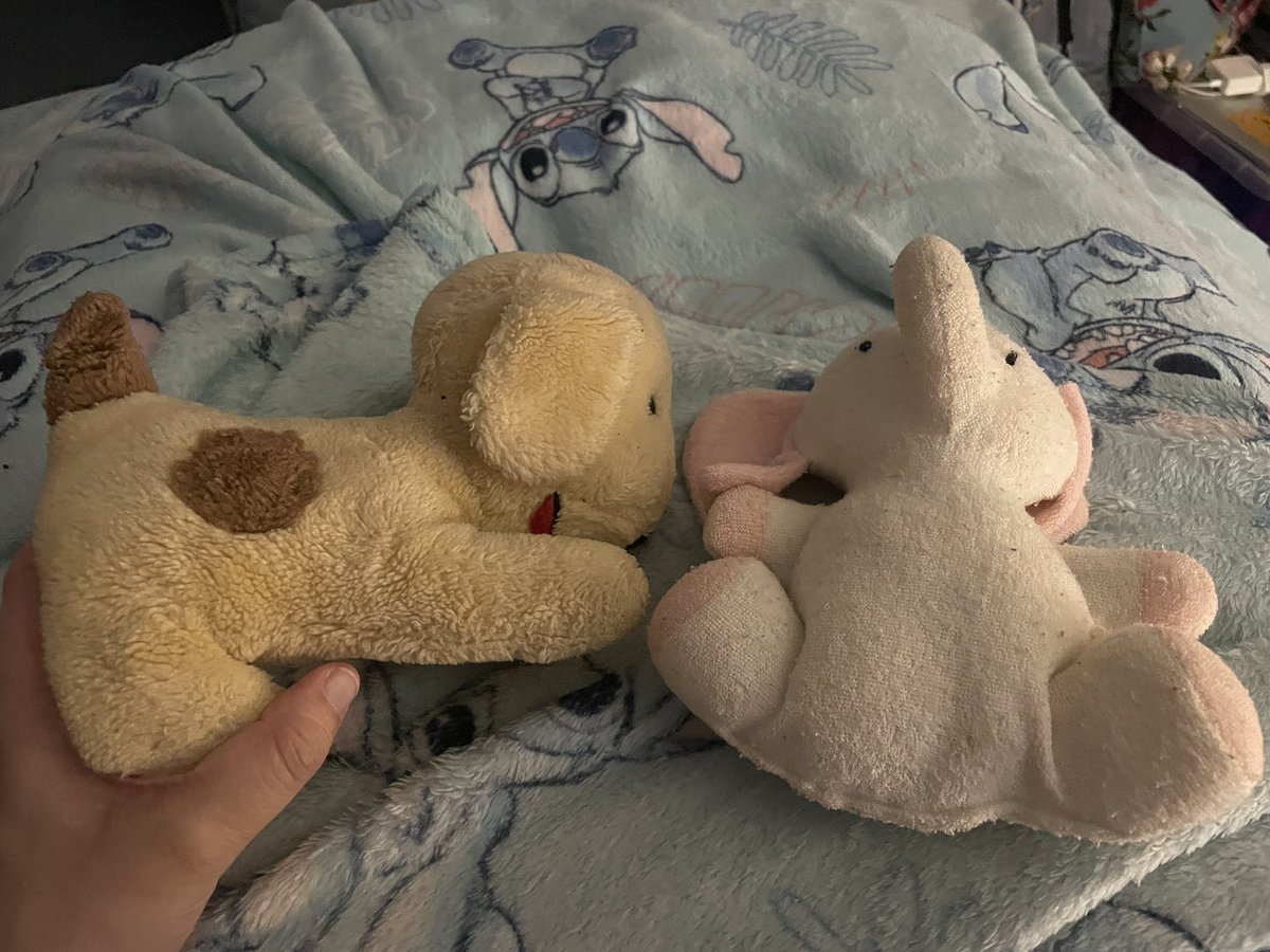 rebecca ann jarvis tweet media