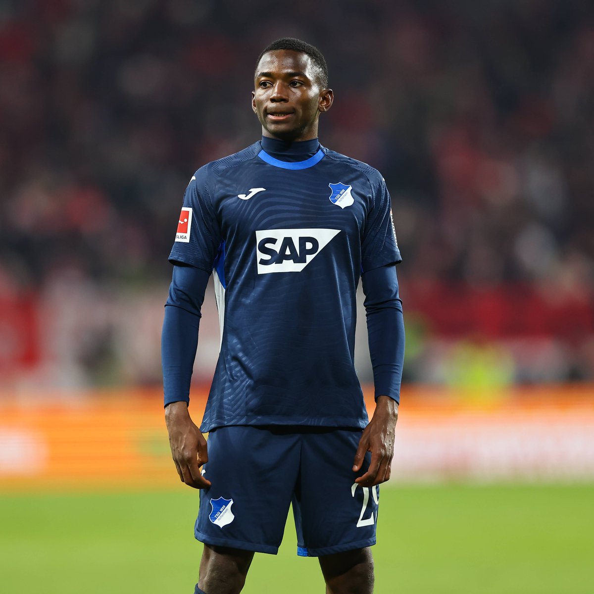 Bence Bocsák tweet media