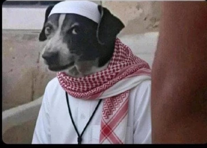 Kijana ya Zaituna👑💎 tweet media