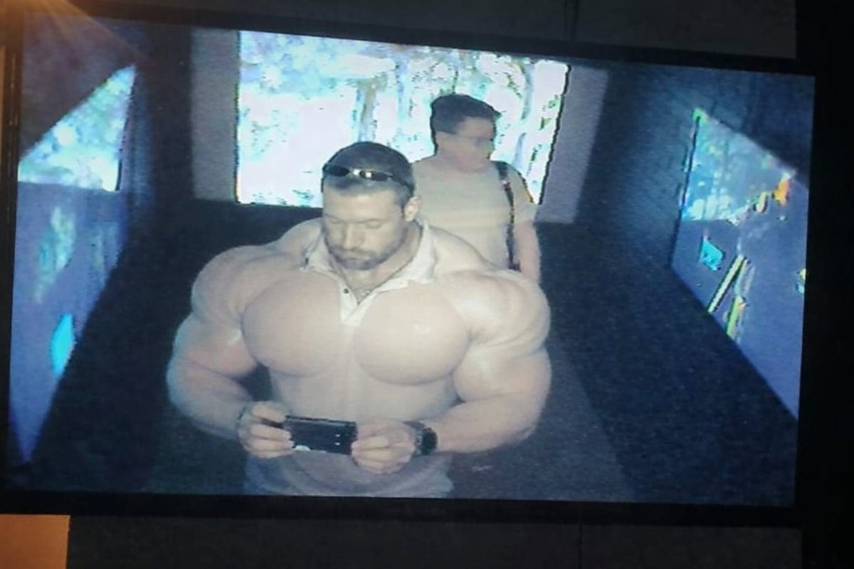 OxAust's tweet photo. Ox captured on CCTV 🤯 https://t.co/Auu3XdVtxu