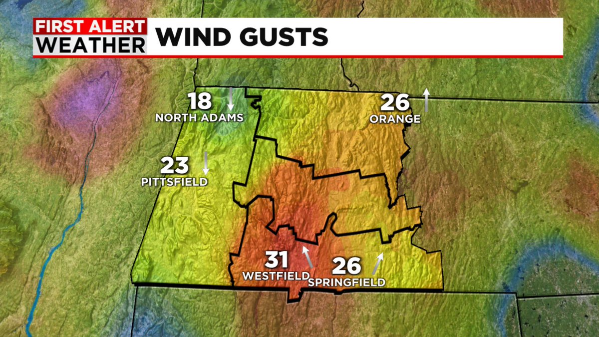 Dan Brown tweet media