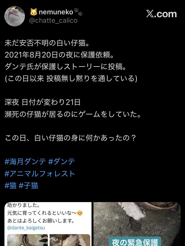 sa_kagi_sa's tweet photo. →「生まれたての白猫」は、依頼が来て受け取りに行き、自宅に連れ帰って「ダンテパパの寝不足の日々が始まるけど、君が生きてくれれば〜」などと言ったきりまったく報告が無くなって今年の8月で5年になりますが、この子は彼らの“自宅内”で今も生死不明の状態です。
→ https://t.co/Rvnti4MoOb