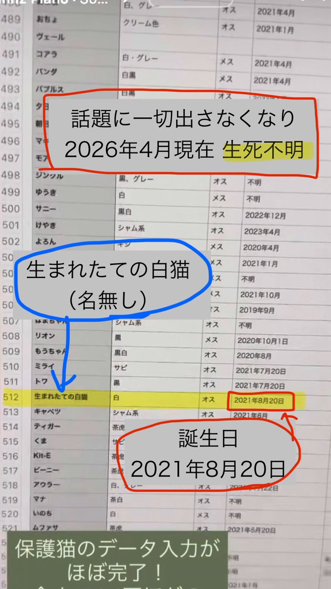 sa_kagi_sa's tweet photo. →「生まれたての白猫」は、依頼が来て受け取りに行き、自宅に連れ帰って「ダンテパパの寝不足の日々が始まるけど、君が生きてくれれば〜」などと言ったきりまったく報告が無くなって今年の8月で5年になりますが、この子は彼らの“自宅内”で今も生死不明の状態です。
→ https://t.co/Rvnti4MoOb