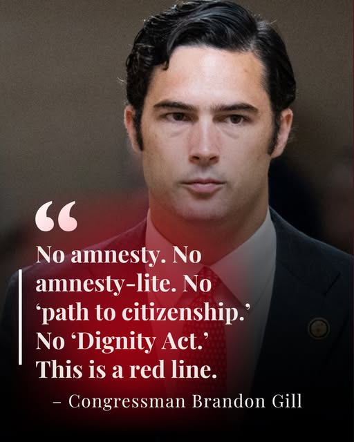 🇺🇸 Pecan 🇺🇸 tweet media