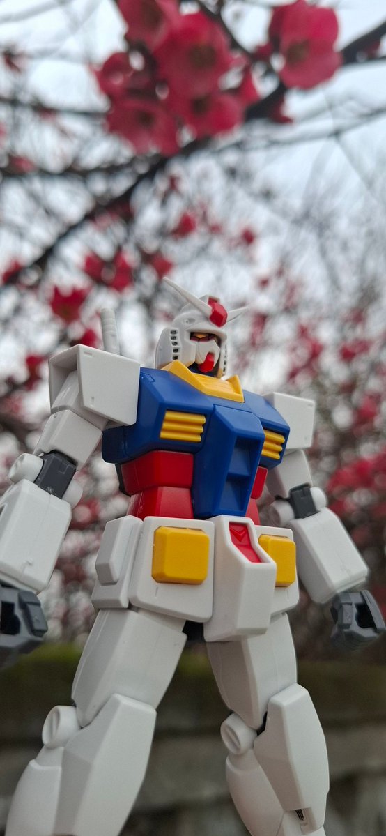 karabamaka tweet media