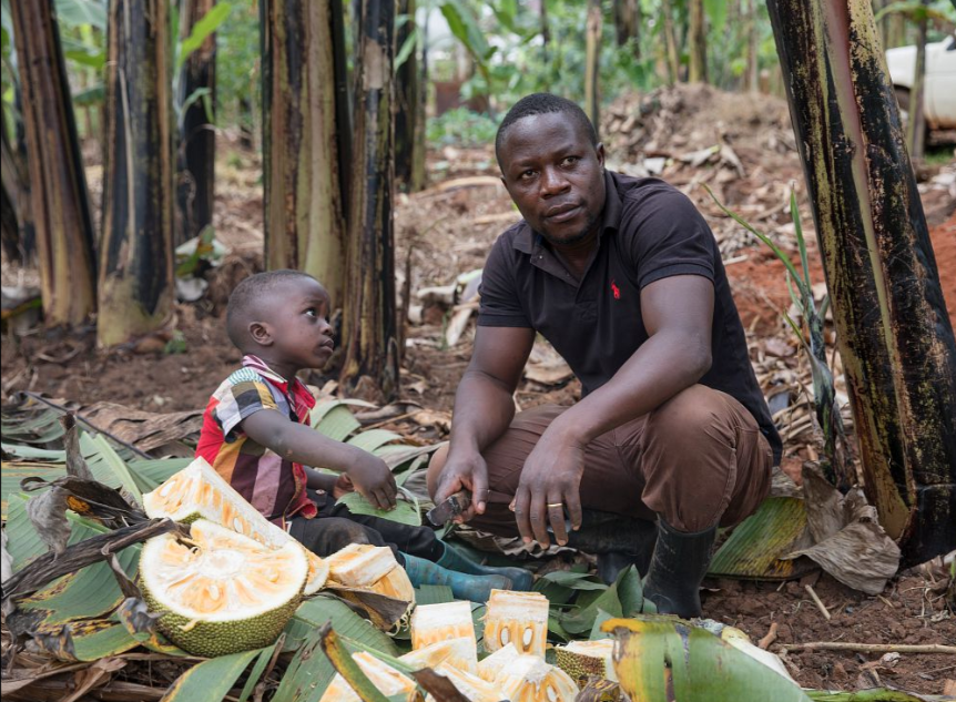 Center for Food Safety and Agricultural Research tweet media