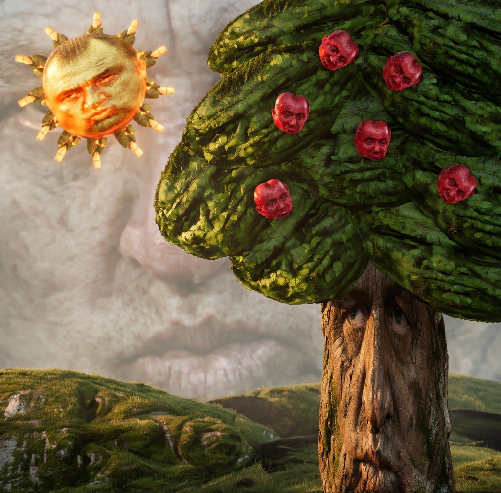 Focus Galam tweet media