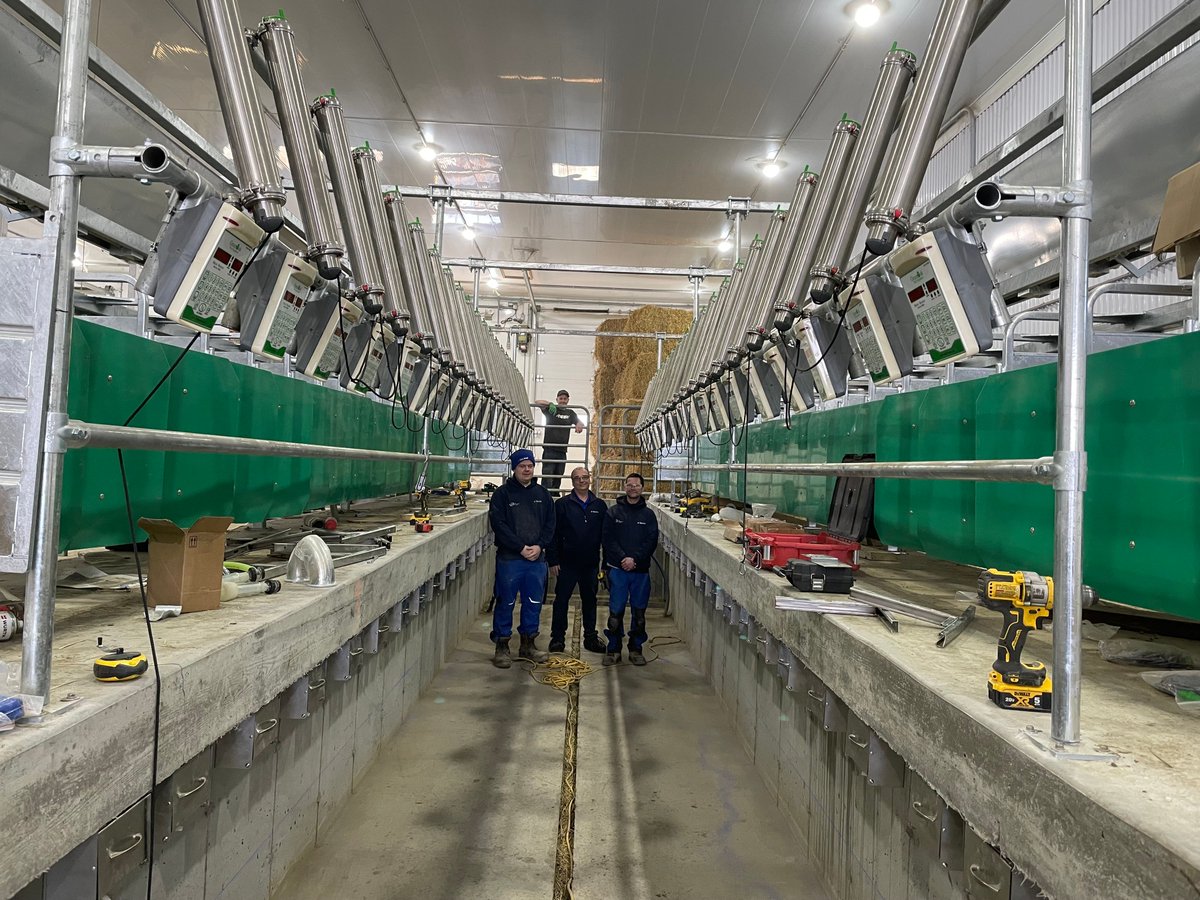 GreenoakNA's tweet photo. New 2 x 20 goat parlour installation underway in Quebec with our local dealer Les Équipements Laitiers LCB inc. 

#goatfarming #dairygoats #milkingparlour #milkingequipment #dairyfarming #agriculture #farminstallation #goatdairy #farmtech #precisionfarming #canadianag #quebecfarm https://t.co/Dvs0fgKHb0