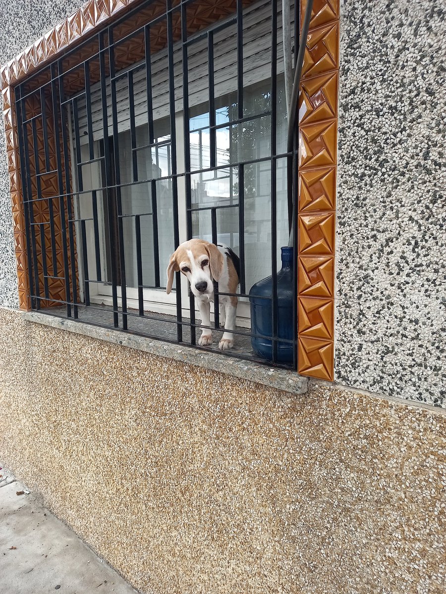 g2briel (;ŏ﹏ŏ) tweet media