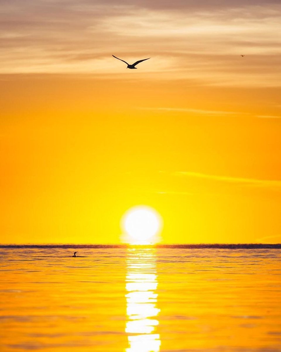 ValeriiVSL | 𝔽rAI tweet media