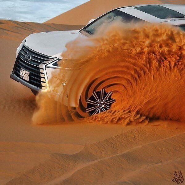 لماذا نحن هنا ؟ tweet media