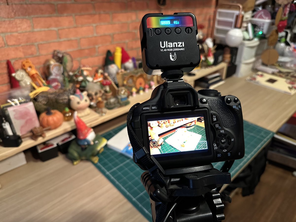 kinoko 🍄🐸✨ tweet media