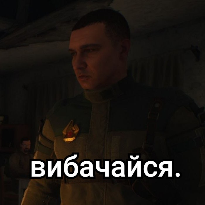 мухоморович 🍄 tweet media