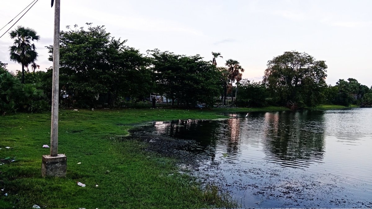 Thadshi1818's tweet image. இமையில் இருக்கும்
இரவு உறக்கம் கண் விட்டுப்
போயாச்சு காரணம் நீயாச்சு.......
#Shayclicks
#Withnature 
#Lyrics
