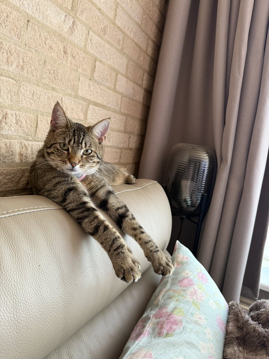 Wen....er maar aan tweet media