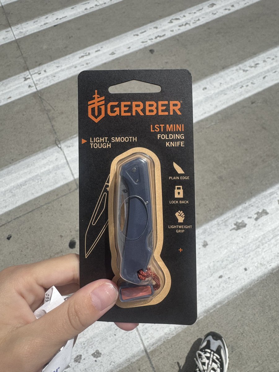 ladybug 🐞 tweet media