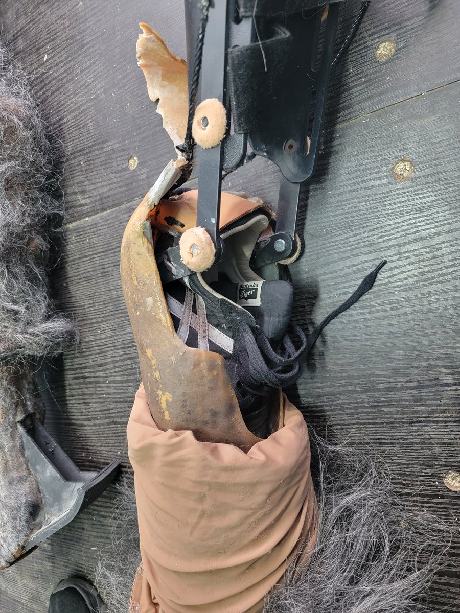 creaturebionics's tweet photo. We have 2 werewolf digilegs left from the Netflix movie - Family Pack.

1. UK size 9.5 Shoes, Tall, Small Set
2. UK size 5 shoes, Short, Small Set

Both with toes damage that will need repairing.

Price: £1850 free shipping worldwide

Info@creaturebionics.com for more pics &amp; info https://t.co/vmhHpuAO1W