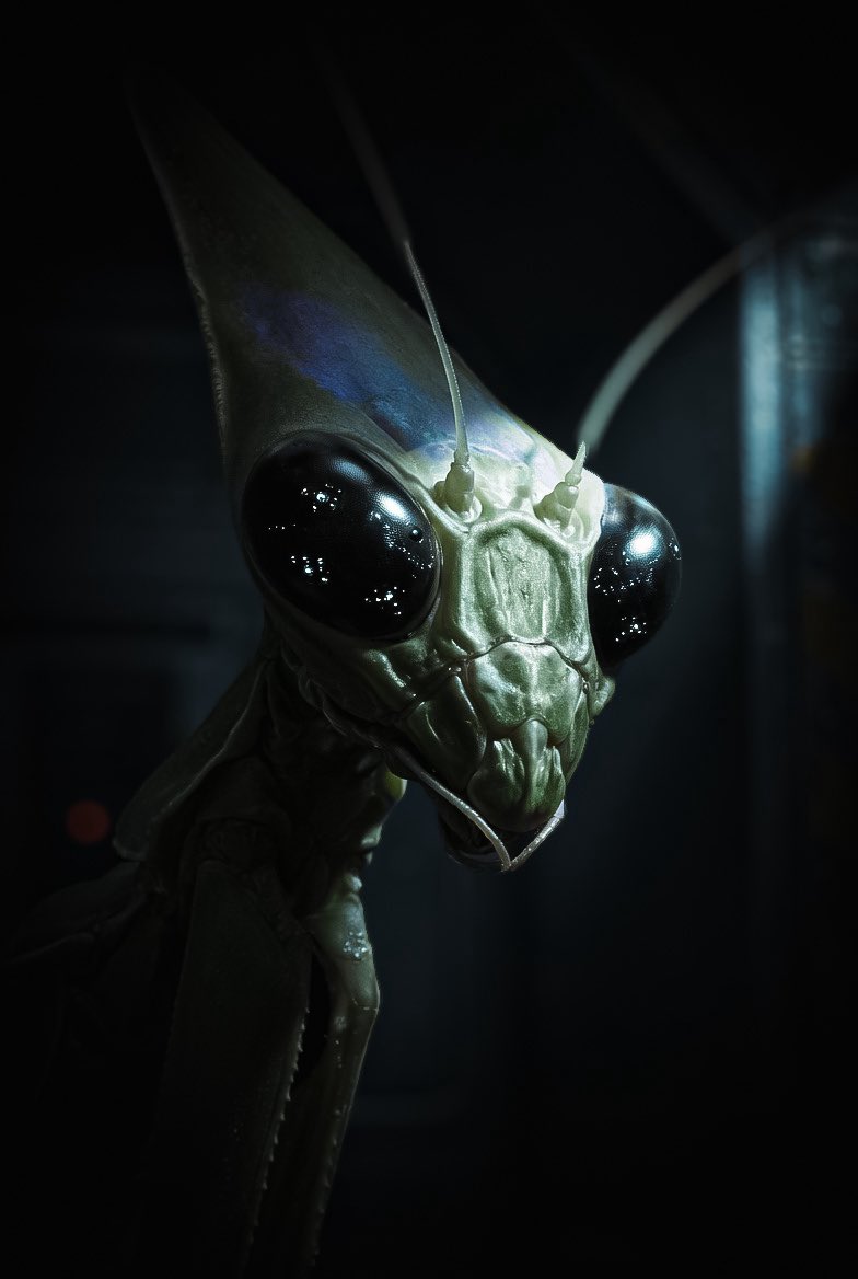 Jordan Crowder tweet media