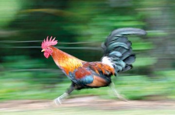 Slim Bae tweet media