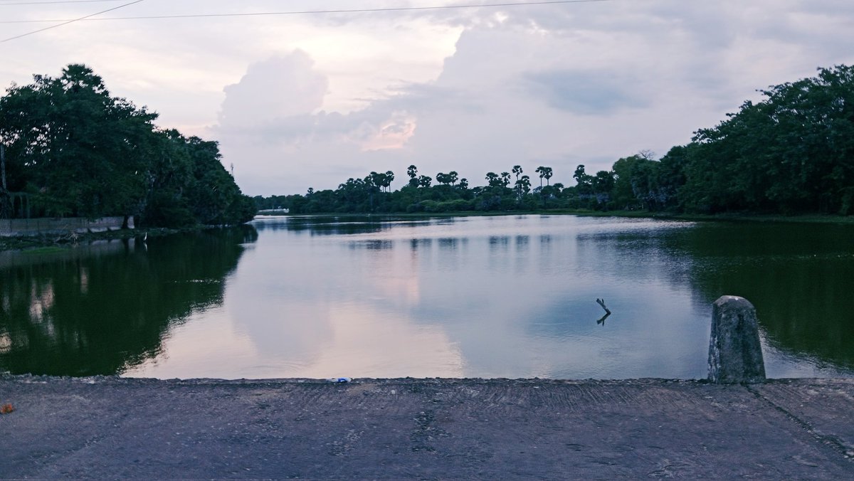 Thadshi1818's tweet image. The lake looked so still,so peaceful, with the last glow of sunset making pink reflections on its surface. But in the moment that was gone,the water suddenly looked very deep,very secret💚 ✨ 
-  Under the Mountain by Maurice Gee 
#Secretsofnature
#lostinlakeside
#intothenature