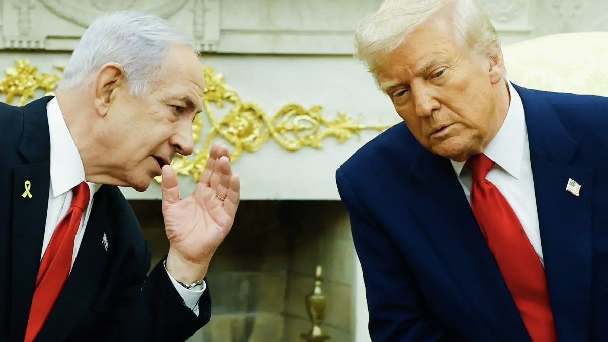 Megatron tweet media