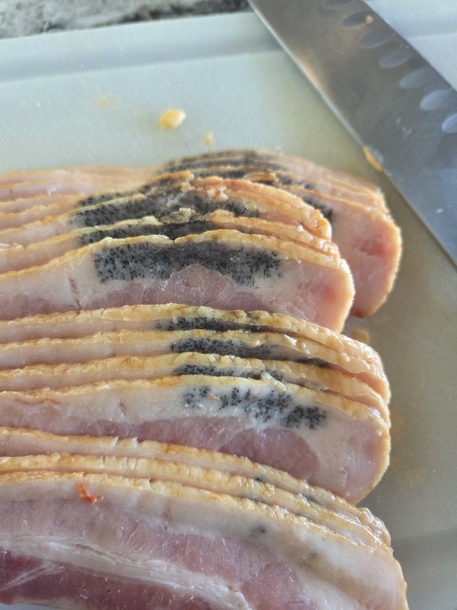jeffmarshallep's tweet photo. Destin Publix selling some gnarly bacon. @Publix https://t.co/L8OVVc2dC5