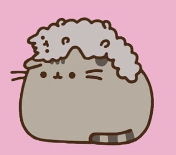 Stormy of shedtwt 🦄 tweet media