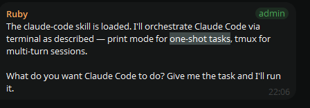 † B A N O Z Z † tweet media