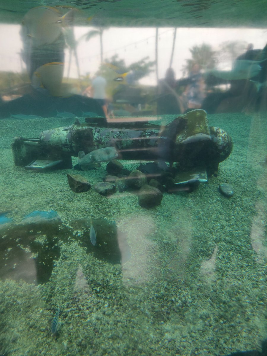 michaelonktm's tweet photo. @TheBigBossPutin hey vlad, one of your spy buoys washed up on the shore on Maui a while back.  Did you want this thing back or are we going to pretend it doesn't exist? https://t.co/Ub8NJIRNyl