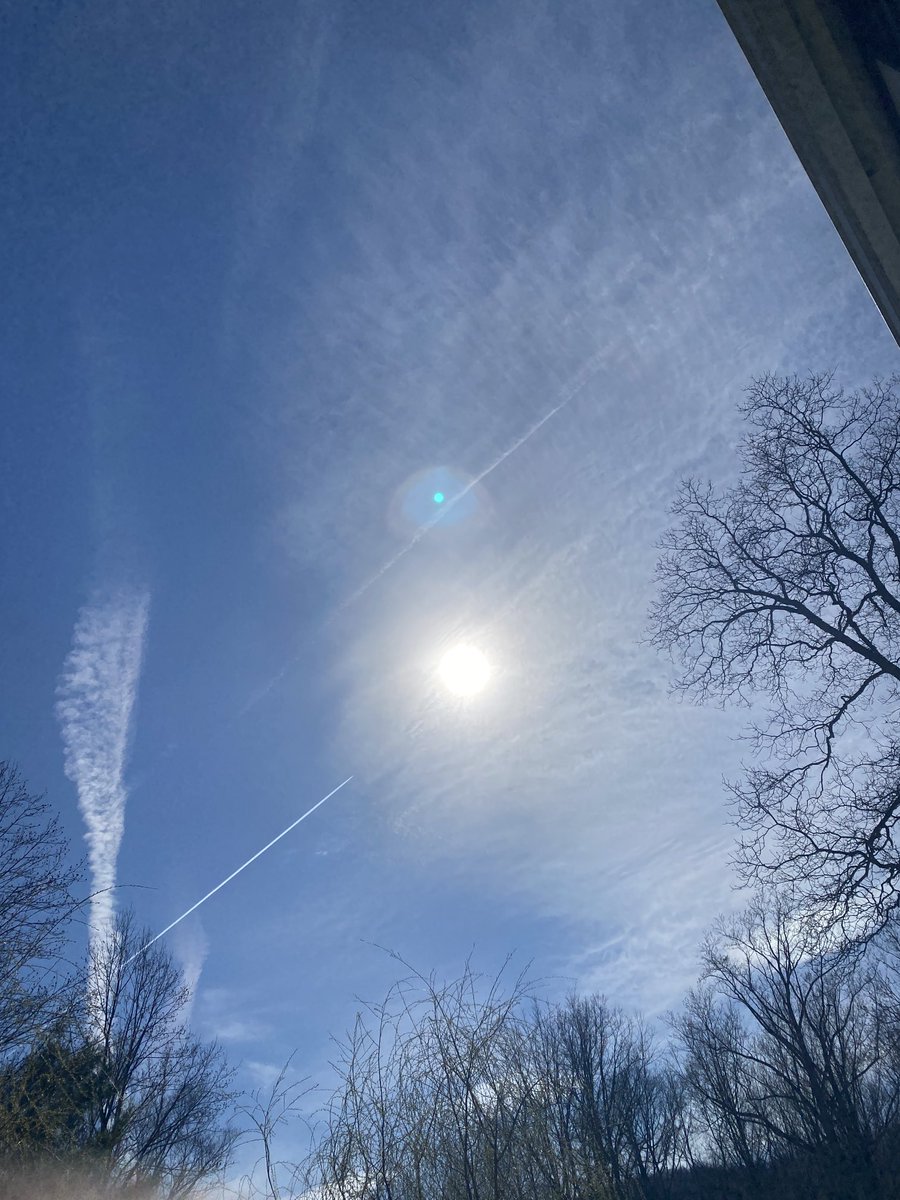 Dr. Naomi Wolf. 8 NYT Bestsellers. DPhil, Poetry. tweet media